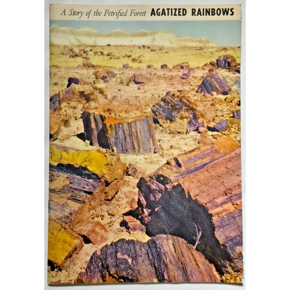 1951 A Story Of The Petrified Forest Agatized Rainbows Arizona National Park